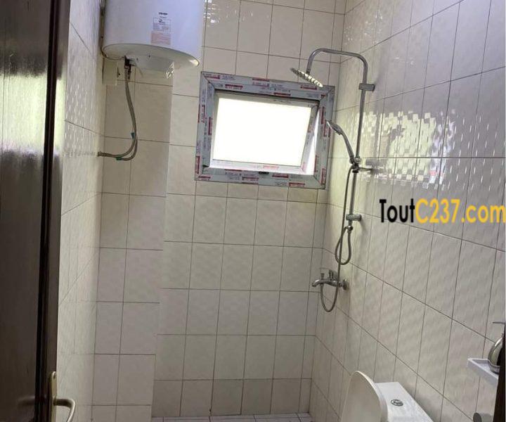 Studio meublé à louer à Bonamoussadi