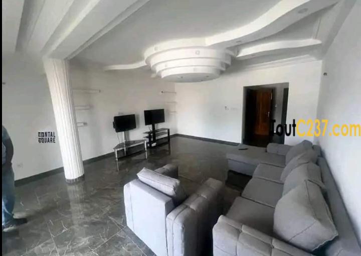 Appartement à louer à Bonapriso Douala