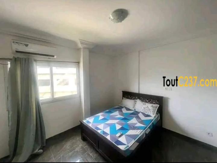 Appartement à louer à Bonapriso Douala