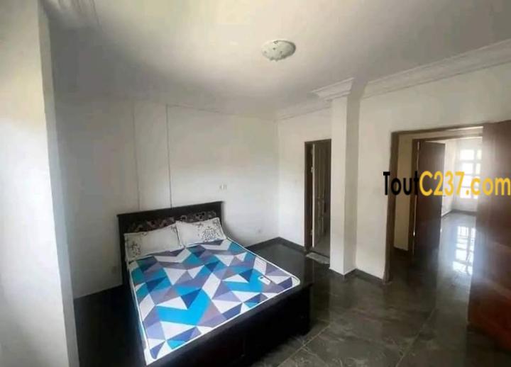 Appartement à louer à Bonapriso Douala