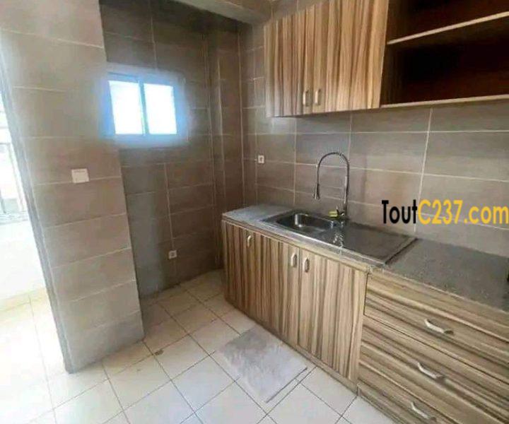 Appartement à louer à Bonapriso Douala