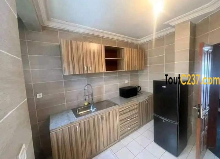Appartement à louer à Bonapriso Douala