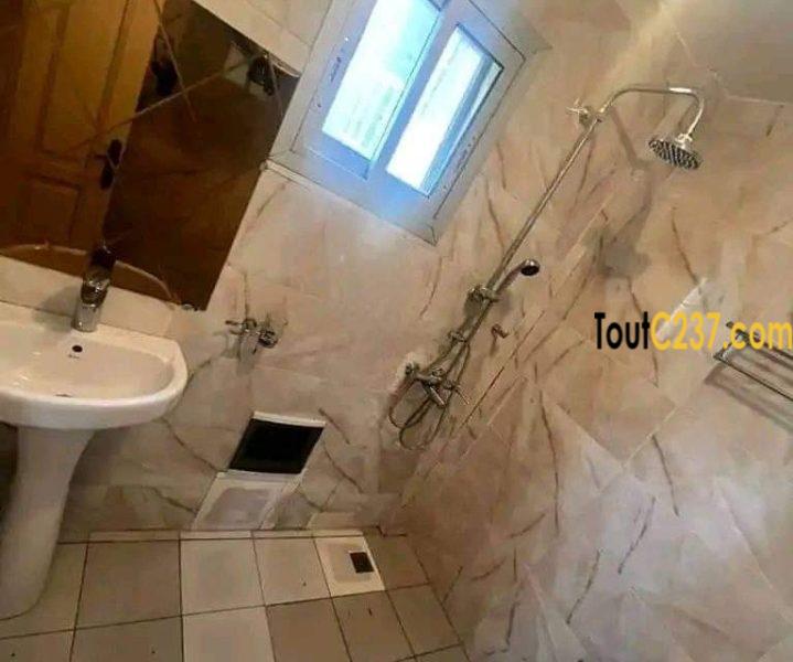 Appartement à louer à Bonapriso Douala