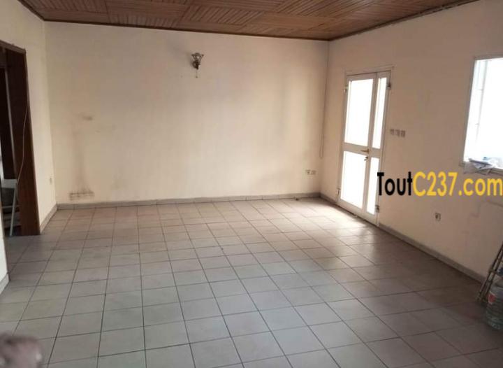 Appartement à louer à Bonanjo Douala