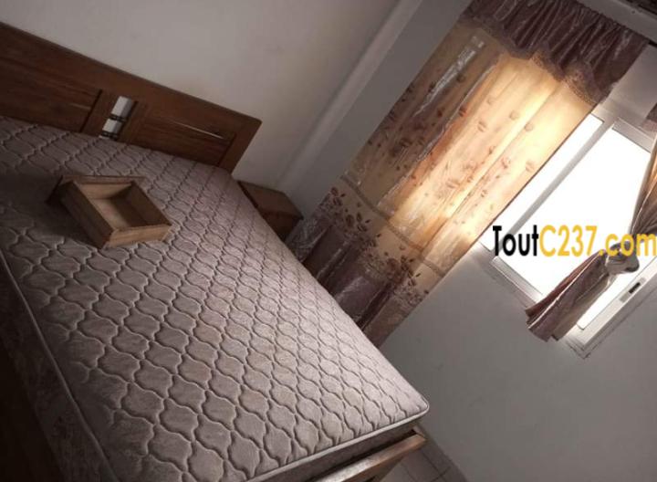 Appartement à louer à Bonanjo Douala