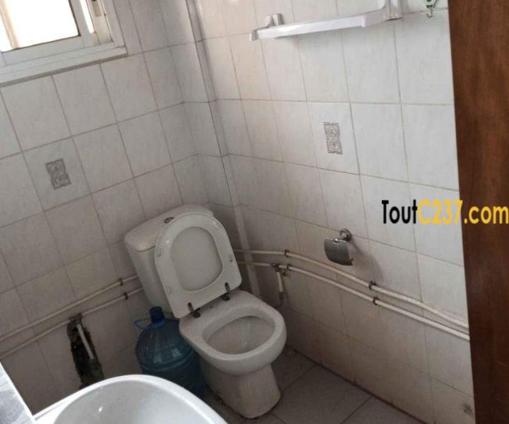 Appartement à louer à Bonanjo Douala