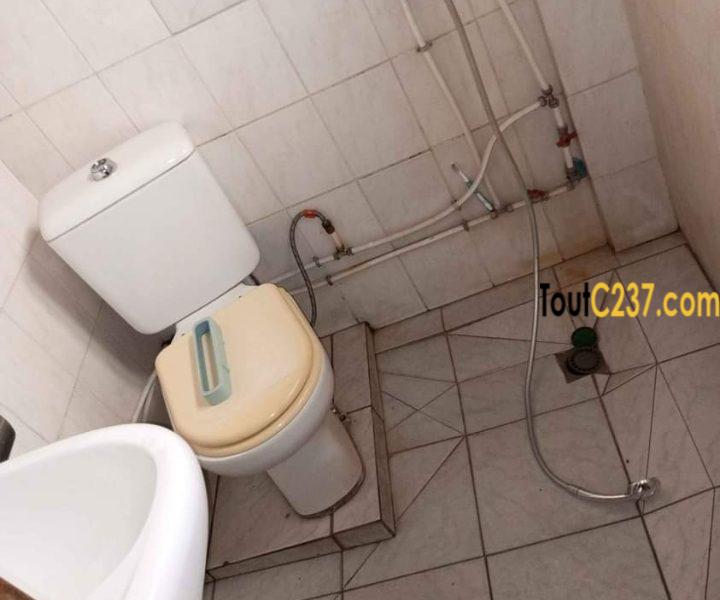 Appartement à louer à Bonanjo Douala