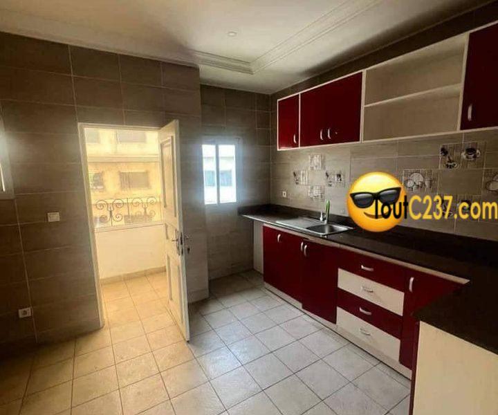 Très vaste appartement à louer à Bonapriso
