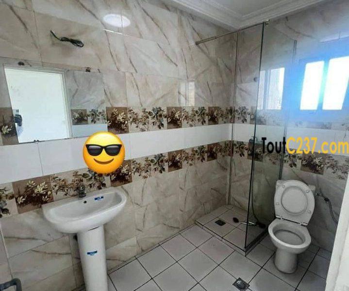 Très vaste appartement à louer à Bonapriso