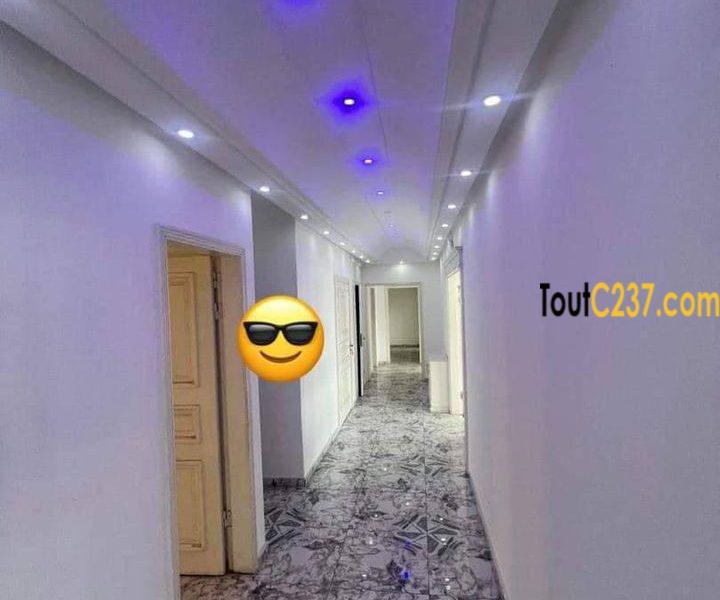 Très vaste appartement à louer à Bonapriso