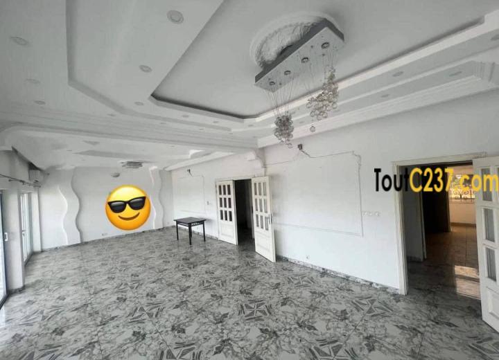 Très vaste appartement à louer à Bonapriso