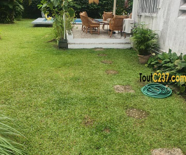 Maison en duplex à louer à Bonapriso