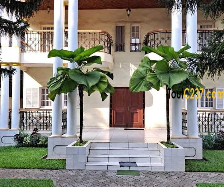 Maison en Triplex à vendre à Bonanjo