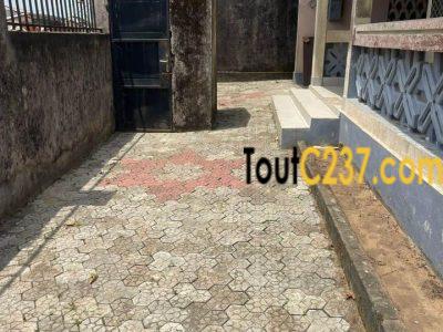 Maison en villa à vendre à Kotto Bangue, Douala