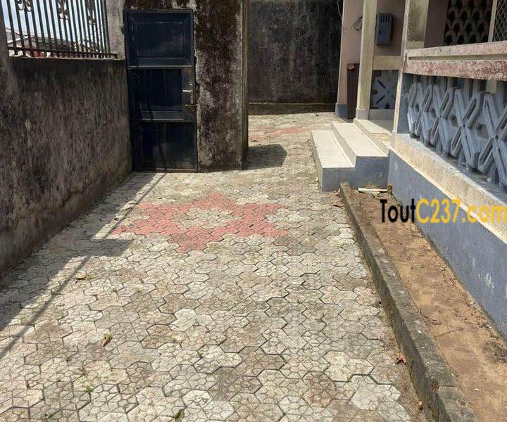 Maison en villa à vendre à Kotto Bangue, Douala