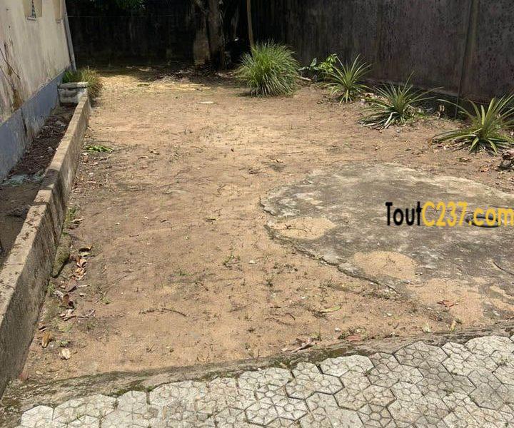 Maison en villa à vendre à Kotto Bangue, Douala