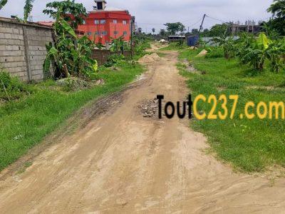 Terrain à vendre à Japoma (Bakoko)