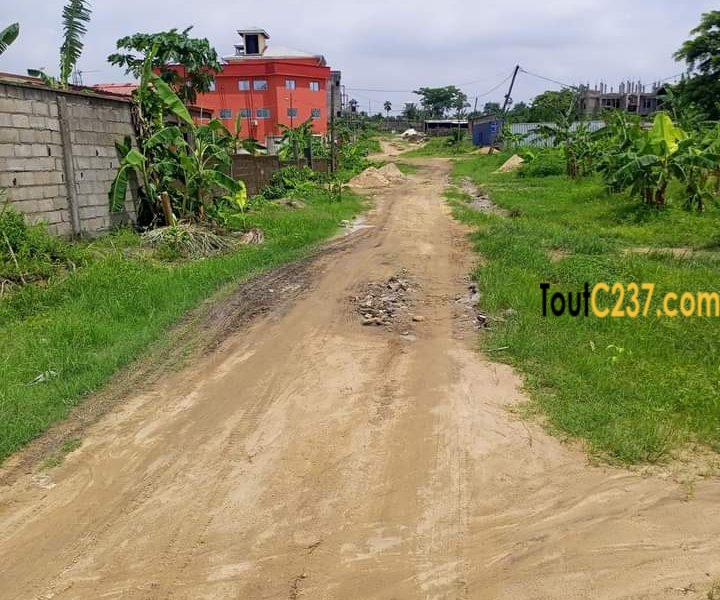 Terrain à vendre à Japoma (Bakoko)