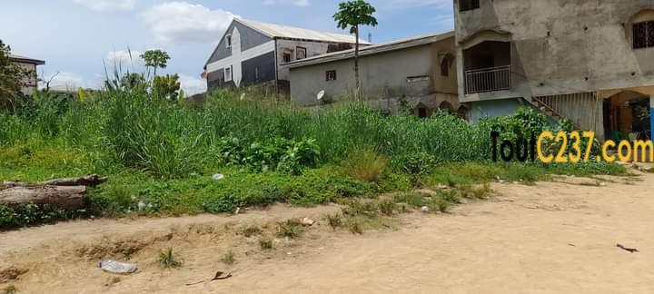 Terrain à vendre à Logbessou
