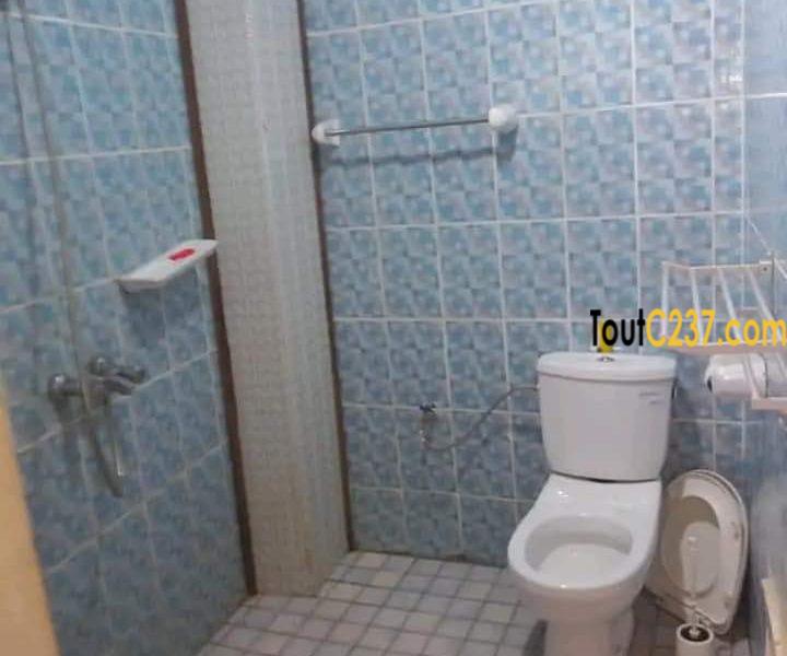 Immeuble à Vendre à Akwa Nord, Douala