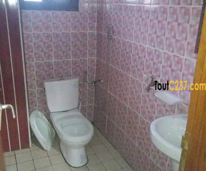 Immeuble à Vendre à Akwa Nord, Douala