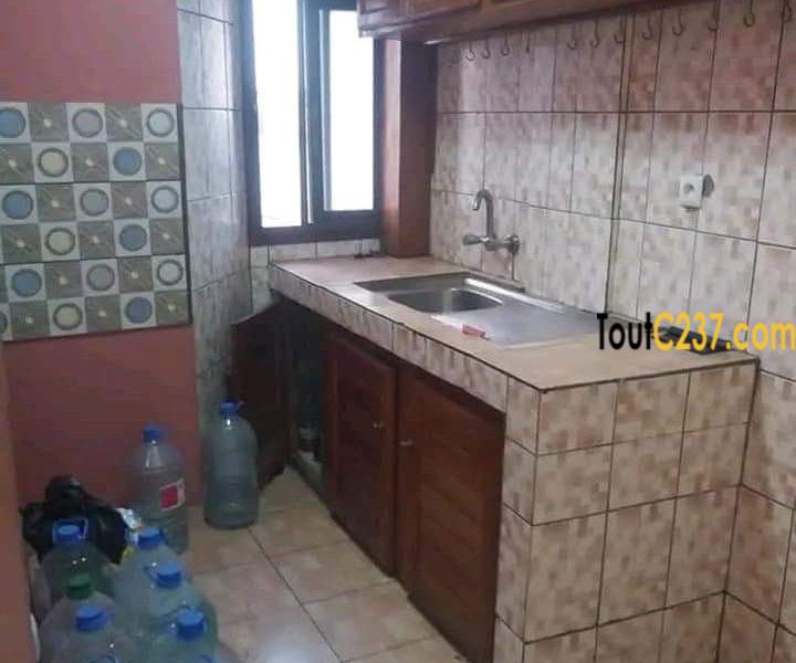 Immeuble à Vendre à Akwa Nord, Douala