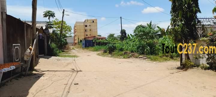 Terrain à vendre à Logbessou (IUC)