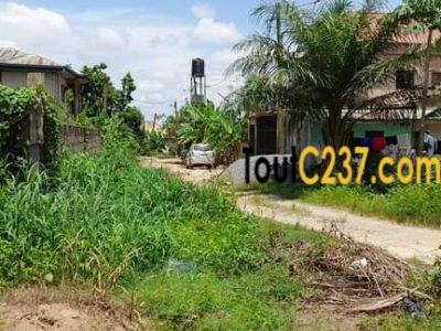 Terrain à vendre à Logbessou (IUC)