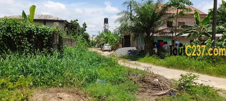 Terrain à vendre à Logbessou (IUC)