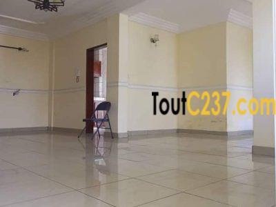 Appartement à louer à Bonamoussadi