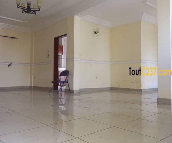 Appartement à louer à Bonamoussadi