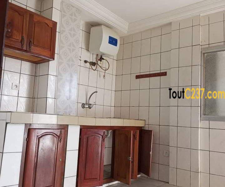 Appartement à louer à Bonamoussadi