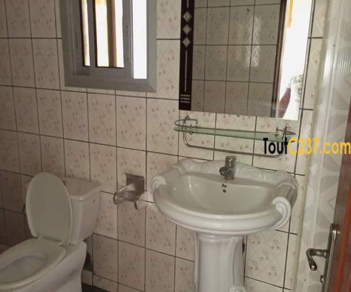 Appartement à louer à Bonamoussadi