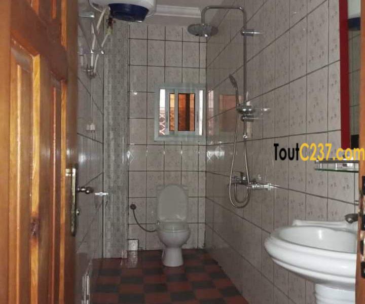 Appartement à louer à Bonamoussadi