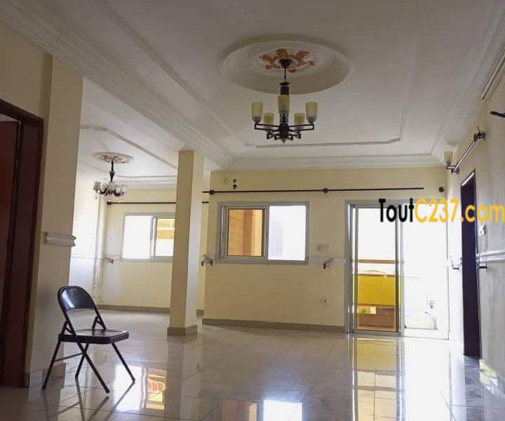 Appartement à louer à Bonamoussadi