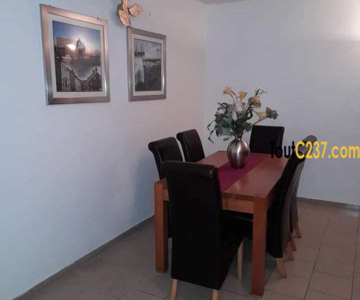 Appartement meublé à louer à Bonamoussadi