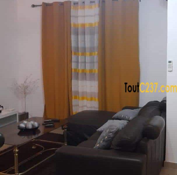 Appartement meublé à louer à Bonamoussadi