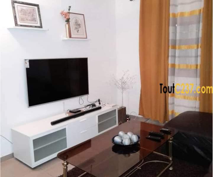Appartement meublé à louer à Bonamoussadi