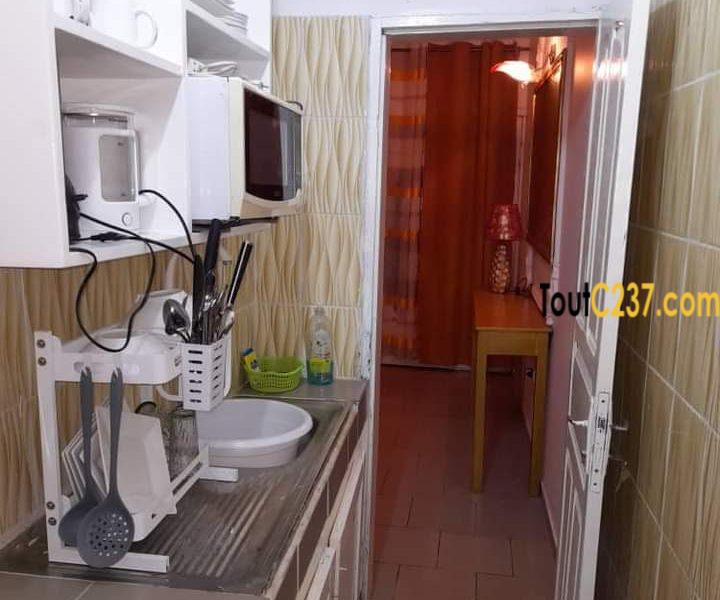 Appartement meublé à louer à Bonamoussadi