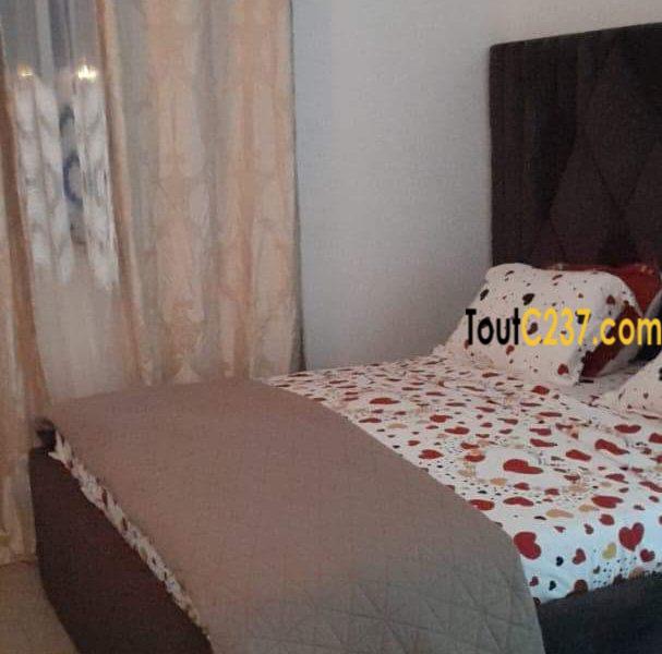 Appartement meublé à louer à Bonamoussadi