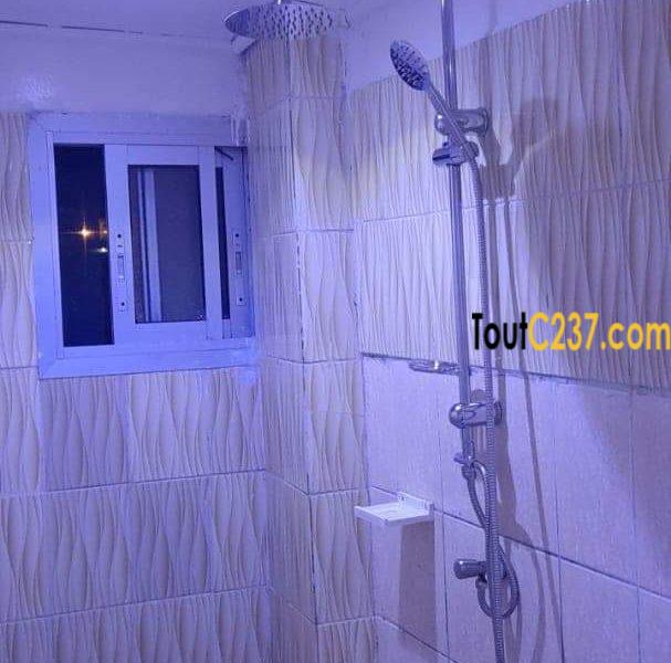Appartement meublé à louer à Bonamoussadi