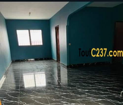 Maison en villa à louer à Kotto, Douala