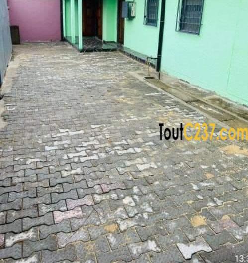 Maison en villa à louer à Kotto, Douala