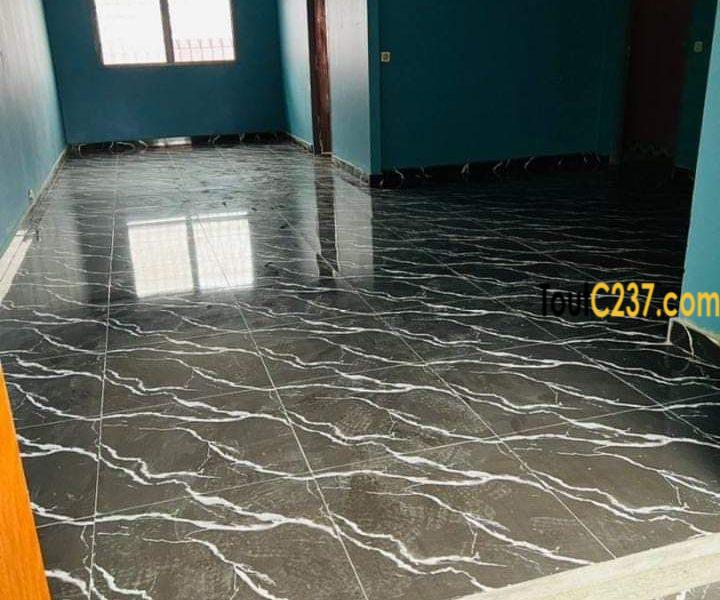 Maison en villa à louer à Kotto, Douala