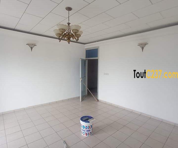 Appartement a louer à Bonapriso