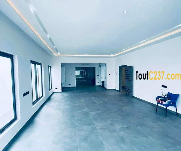 Duplex à vendre à Bonapriso, Douala