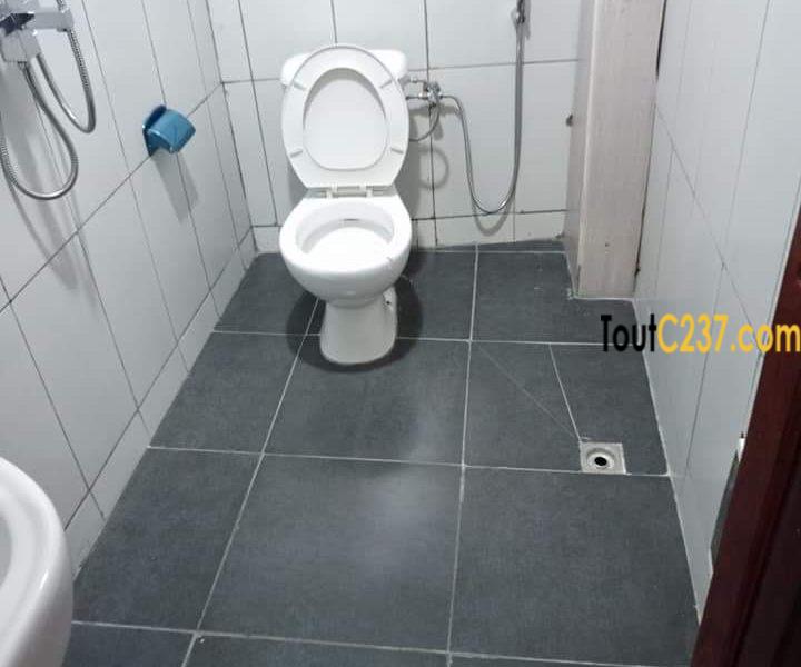 Studio moderne à louer à Logpom