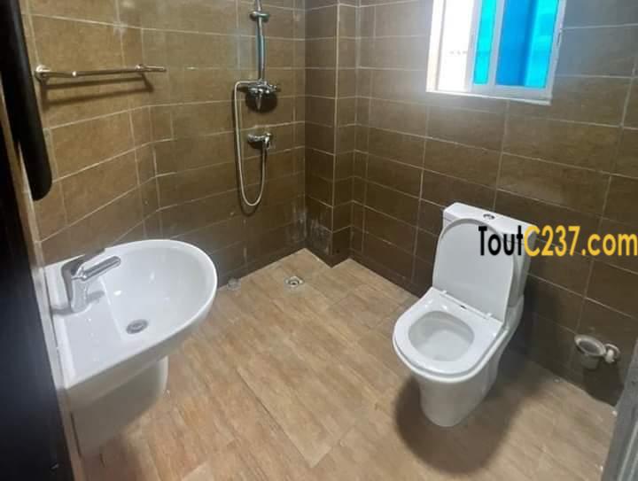 Appartement neuf à louer à Bonamoussadi