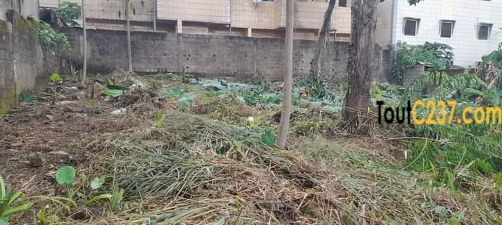 Terrain à louer a Logpom Bassong