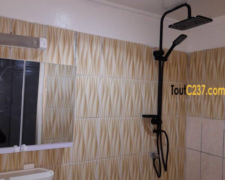 Appartement meublé à louer à Bonamoussadi